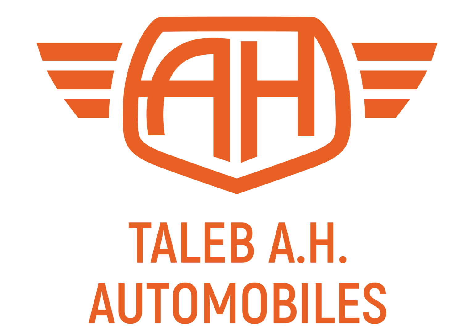 Accueil - TALEB A.H. AUTOMOBILES