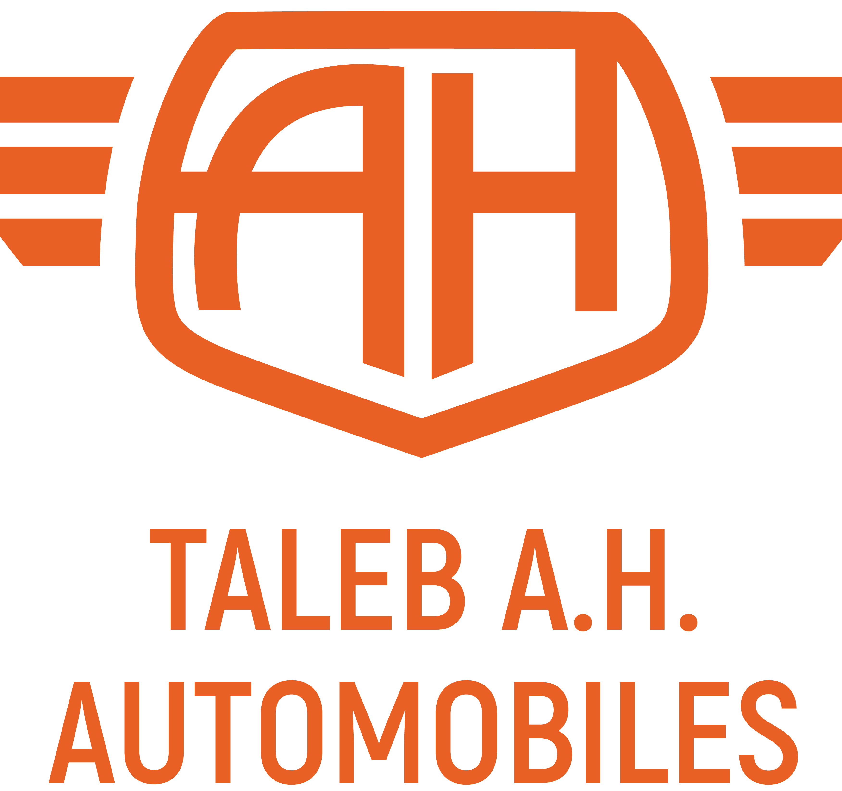 default-logo